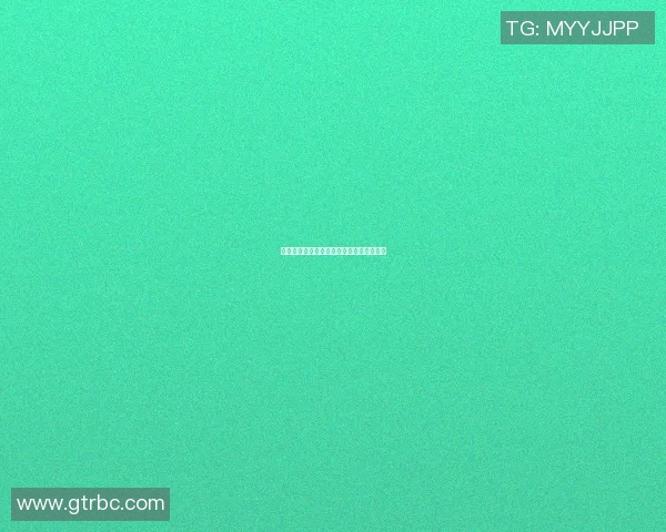 虎门篮球明星阵容全景展示及精彩瞬间回顾