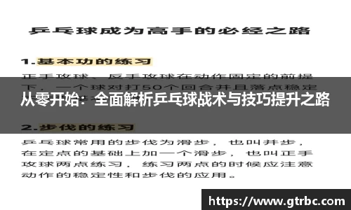 从零开始：全面解析乒乓球战术与技巧提升之路